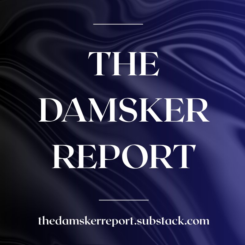The Damsker Report